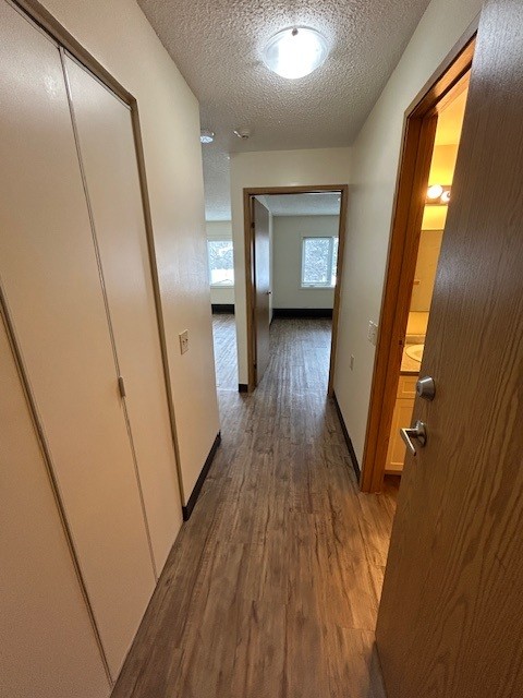3139 Bowwood Drive NW, Calgary, Alberta T3B 5G2, 1 Bedroom Bedrooms, ,1 BathroomBathrooms,Condo,For Rent,Bowbridge Manor,Bowwood Drive NW,1150