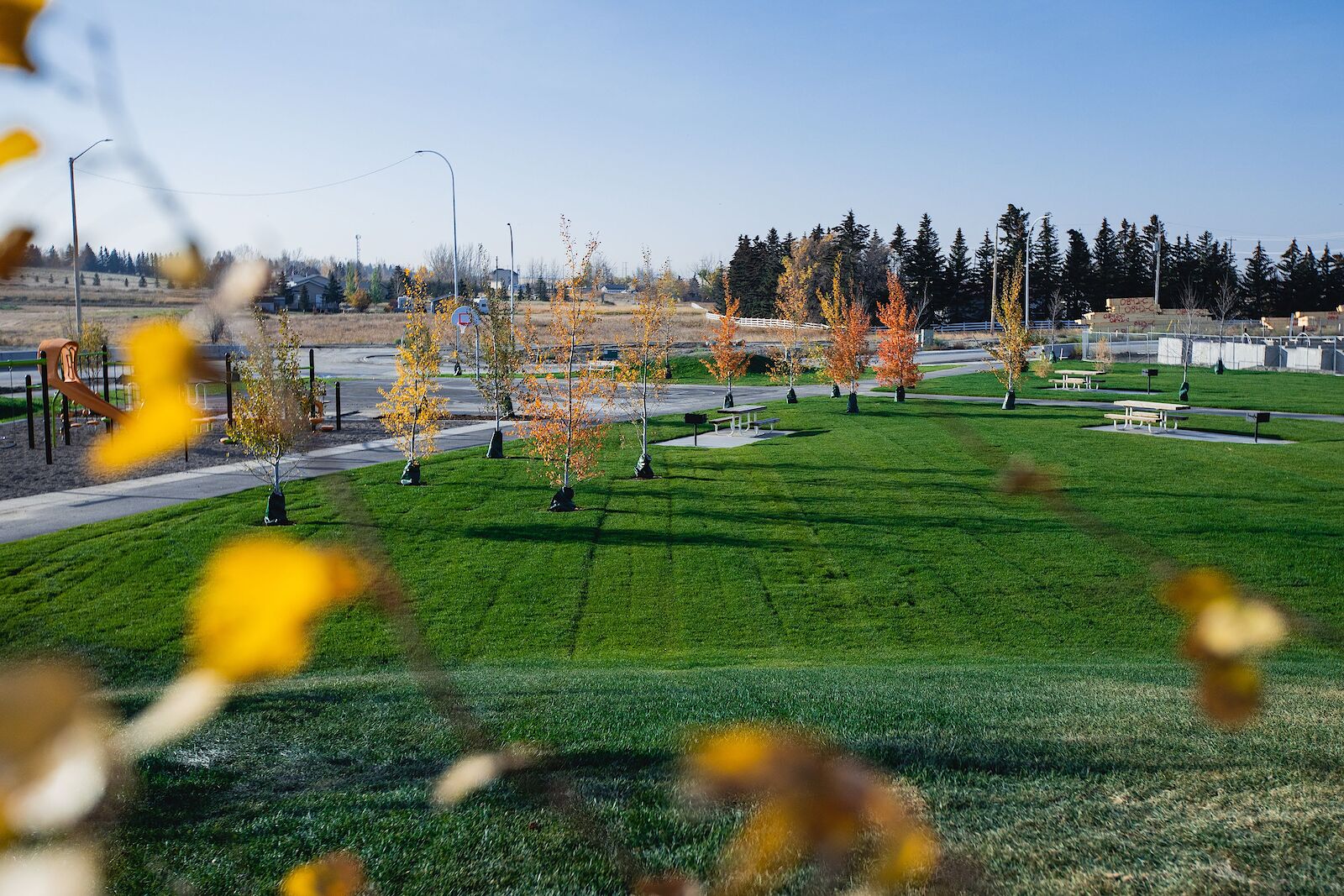8503 19 Avenue SE, Calgary, Alberta T2B 2M4, 3 Bedroom Bedrooms, 0 ,2.5 BathroomBathrooms,Townhome,For Rent,19 Avenue SE,1314