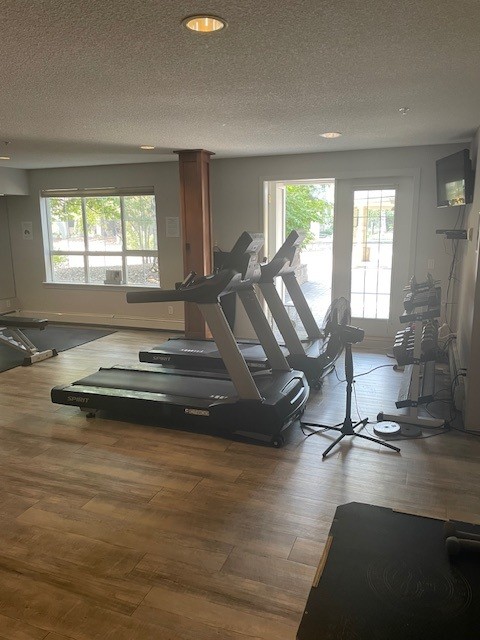 157, 35 Richard Crt SW, Calgary, Alberta, 1 Bedroom Bedrooms, ,1 BathroomBathrooms,Condo,For Rent,Richard Crt SW,157,1438