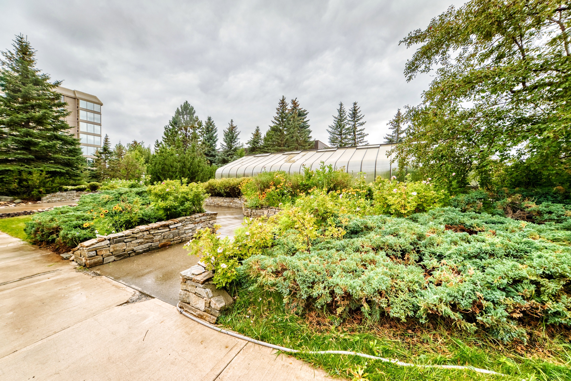 707, 4555 Varsity Lane NW, Calgary, Alberta, 1 Bedroom Bedrooms, ,1 BathroomBathrooms,Condo,For Rent,Varsity Towers,Varsity Lane NW,707,1448 707, 4555 Varsity Lane NW, Calgary, Alberta, 1 Bedroom Bedrooms, ,1 BathroomBathrooms,Condo,For Rent,Varsity Towers,Varsity Lane NW,707,1448