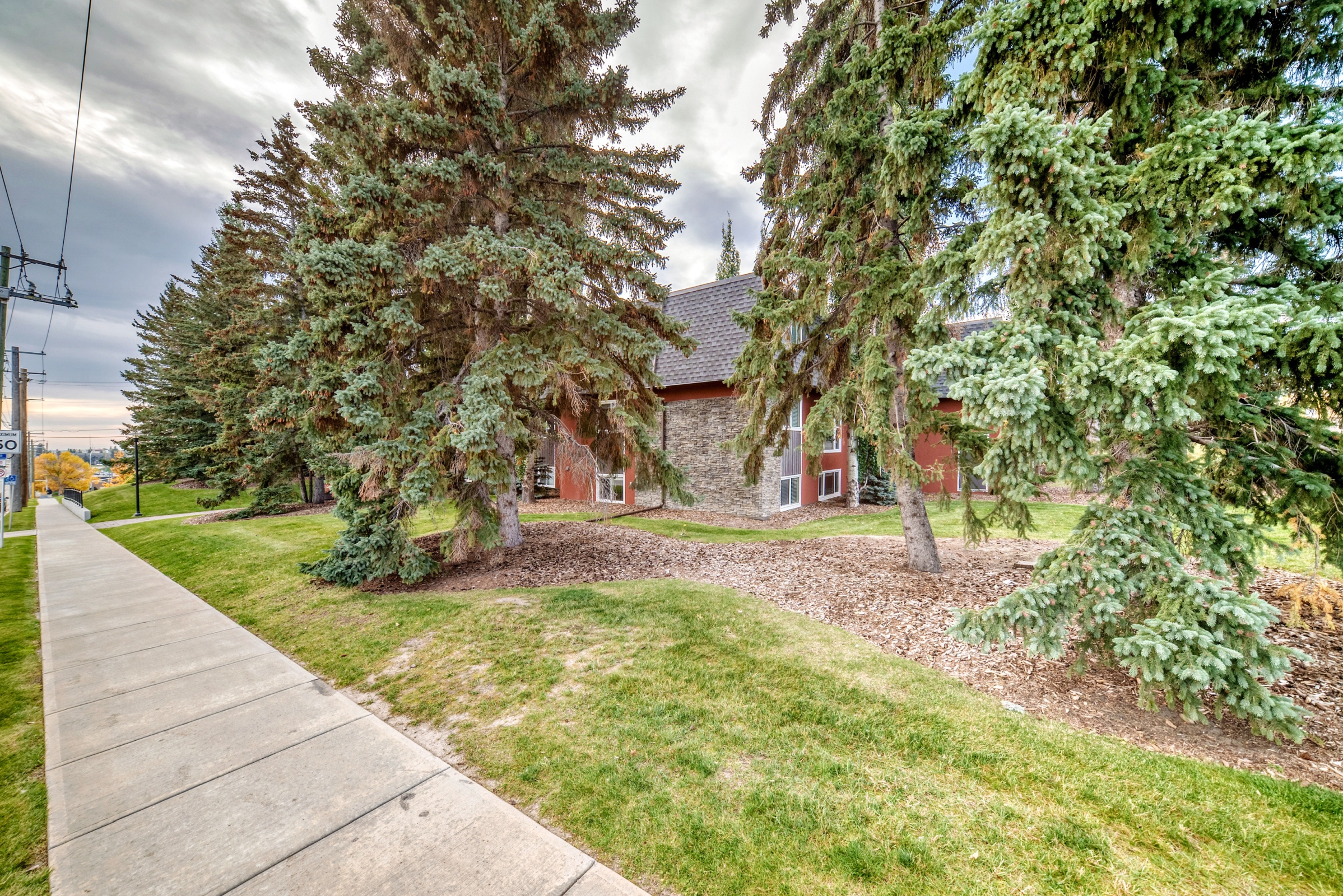 204, 315 50 Ave SW, Calgary, Alberta, 1 Bedroom Bedrooms, 0 ,1 BathroomBathrooms,Condo,For Rent,The Windsor,50 Ave SW,204,1453